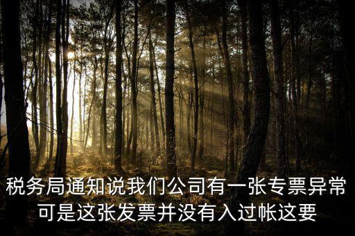 稅務(wù)局通知說我們公司有一張專票異?？墒沁@張發(fā)票并沒有入過帳這要