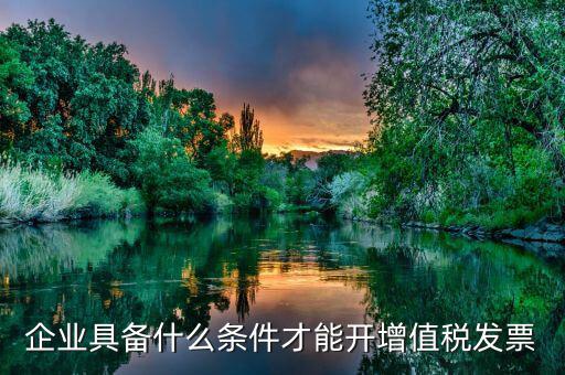 什么企業(yè)增值稅發(fā)票，企業(yè)具備什么條件才能開增值稅發(fā)票