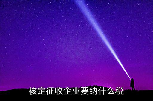 什么稅可以核定征收，核定征收企業(yè)要納什么稅