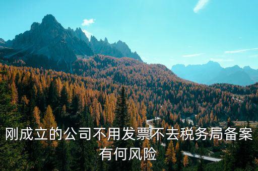 稅收備案制有什么風險，稅收政策變化導致中小企業(yè)的風險有哪些