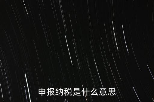 通用申報稅是什么，非稅收入通用申報表是什么稅