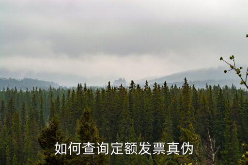 定額發(fā)票查詢的密碼是什么，如何查詢定額發(fā)票真?zhèn)?/></a></span><span id=