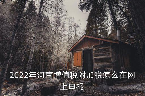 附加稅在什么網(wǎng)站申報，2022年河南增值稅附加稅怎么在網(wǎng)上申報