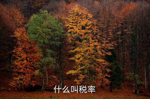 什么叫增值稅稅率，增值稅普通發(fā)票的稅率是什么意思