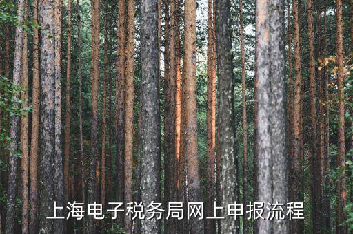 上海稅務(wù)網(wǎng)上直報(bào)是什么，什么是網(wǎng)上報(bào)稅