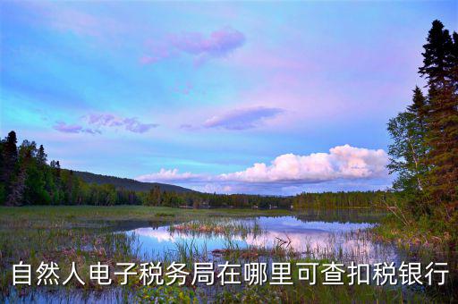 電子稅務(wù)局銀行端查詢什么，天津電子稅務(wù)局如何查詢銀行賬戶備案信息