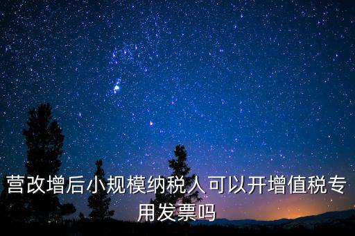 營改增后地稅能開什么票，營改增之后地稅局還可以開發(fā)票嗎