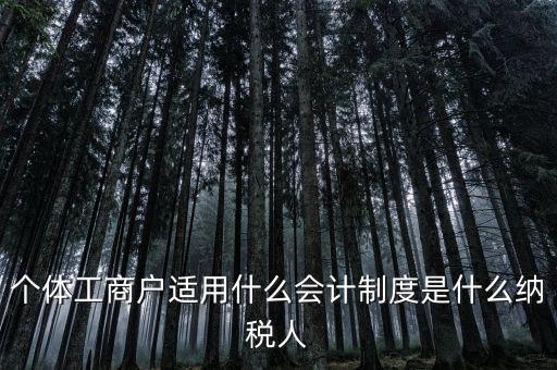 個(gè)體戶屬于什么納稅人，從事縫紉業(yè)務(wù)的個(gè)體戶屬于哪一類納稅人