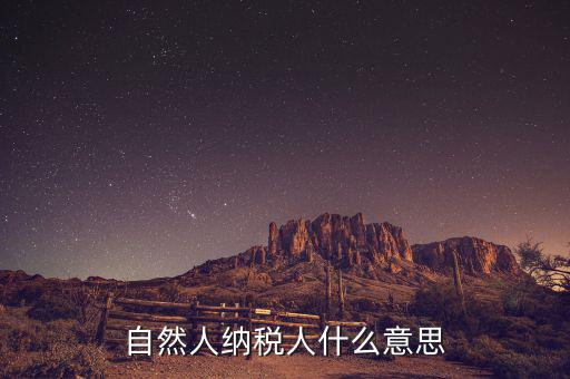 什么是自然人辦稅，自然人納稅人什么意思