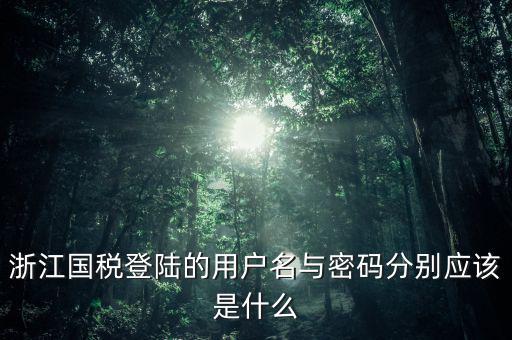 浙江國稅密碼是什么意思，浙江地稅開票軟件中數(shù)據(jù)庫密碼是多少