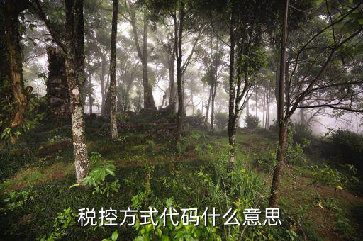 什么叫稅控碼，稅控方式代碼什么意思
