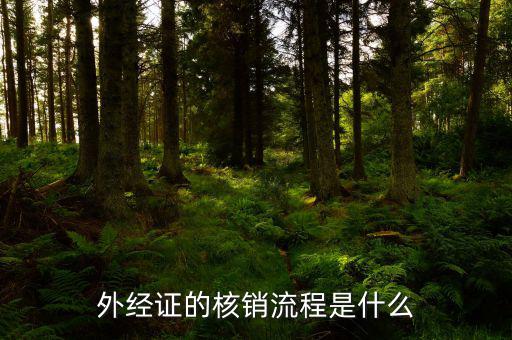 核銷的外經證是什么樣，外經證核銷是什么意思