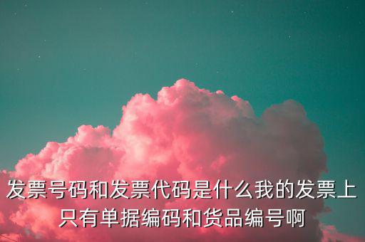 發(fā)票號指的是什么，發(fā)票號碼是指哪個(gè)號碼