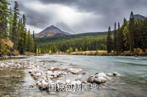 什么屬于國(guó)稅，什么樣的經(jīng)營(yíng)范圍屬于國(guó)稅