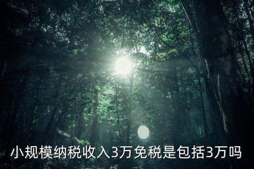 3萬(wàn)免稅是指什么，小規(guī)模納稅收入3萬(wàn)免稅是包括3萬(wàn)嗎