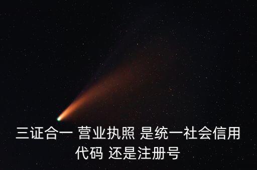 三證合一 營業(yè)執(zhí)照 是統(tǒng)一社會(huì)信用代碼 還是注冊(cè)號(hào)