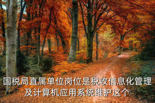 稅收信息化崗位做什么，信息化在稅務(wù)管理中有什么作用