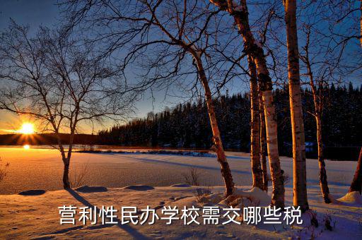 學(xué)校要交什么稅，營(yíng)利性民辦學(xué)校需交哪些稅
