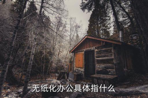 國稅無紙化辦公是什么意思，無紙化辦公具體指什么