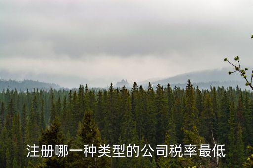 蘇州開什么樣的公司稅率最低，注冊什么類型的公司交稅最少