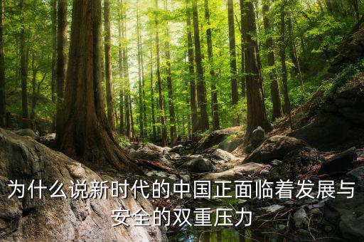 中國的雙重負(fù)擔(dān)是什么，為什么說新時(shí)代的中國正面臨著發(fā)展與安全的雙重壓力