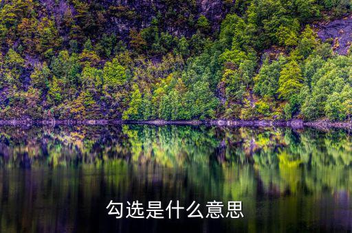發(fā)票勾選是什么意思，勾選是什么意思