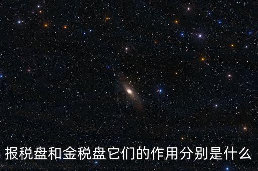 報稅盤做什么用的，報稅盤和金稅盤它們的作用分別是什么