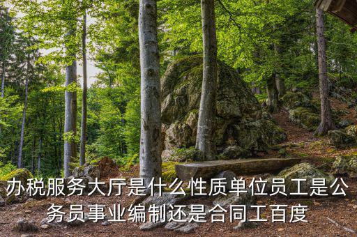 什么是辦稅服務(wù)大廳，辦稅服務(wù)廳的基本服務(wù)包括哪些