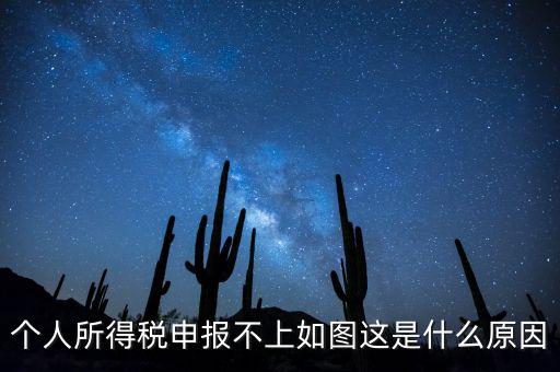 個稅申報不成功什么原因，個人所得稅申報不上如圖這是什么原因