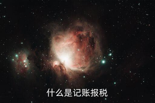 報(bào)稅記錄是指什么，報(bào)稅是什么意思 報(bào)稅的含義