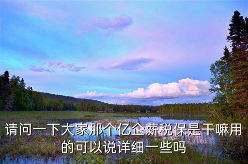 請(qǐng)問一下大家那個(gè)億企薪稅保是干嘛用的可以說詳細(xì)一些嗎