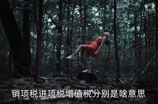 銷(xiāo)項(xiàng)稅進(jìn)項(xiàng)稅增值稅分別是啥意思