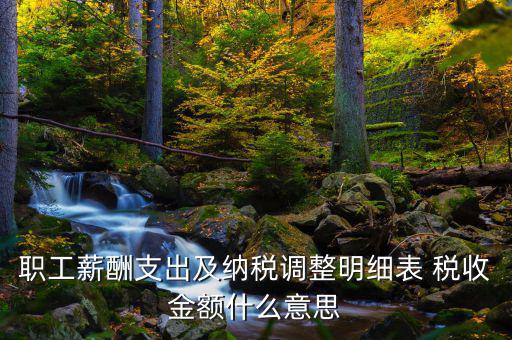 什么是納稅調(diào)整金額，職工薪酬支出及納稅調(diào)整明細表 稅收金額什么意思