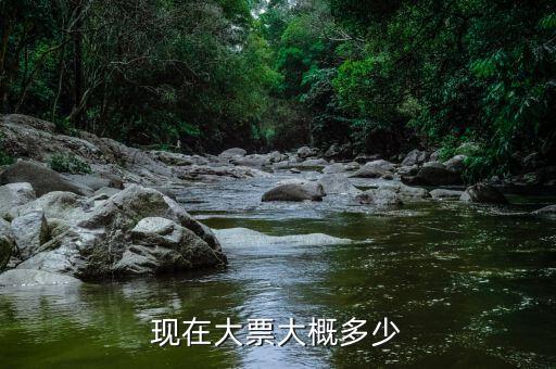 車輛大票是額多少什么，現(xiàn)在大票大概多少