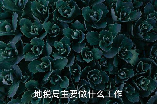 地稅局主要管什么的，地稅局工作的主要內(nèi)容