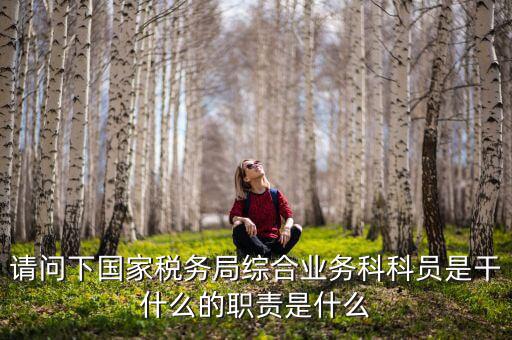 稅務(wù)局上班主要做什么，稅務(wù)局是干什么的