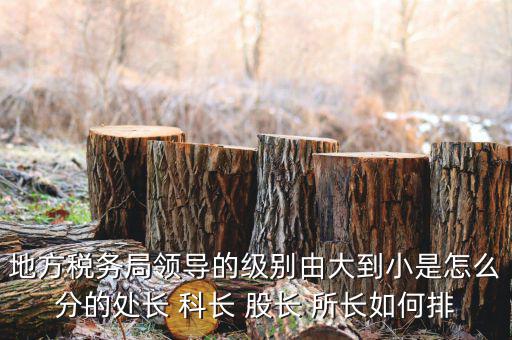 地方稅務局領導的級別由大到小是怎么分的處長 科長 股長 所長如何排