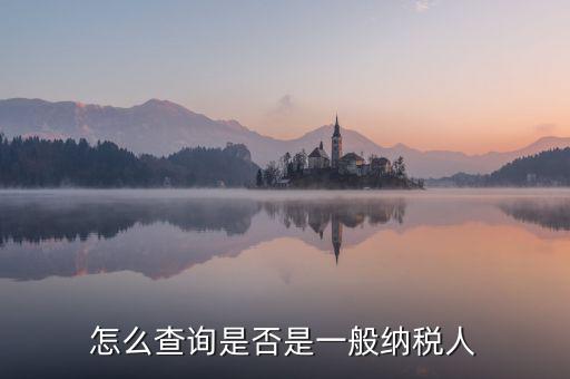 怎么查詢(xún)是否是一般納稅人