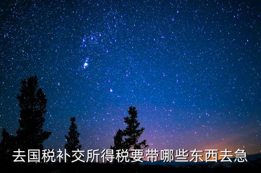 去國(guó)稅補(bǔ)繳增值稅要帶什么，增值稅零申報(bào)逾期申報(bào)了48天 到國(guó)稅補(bǔ)申報(bào)需要準(zhǔn)備什么資料 帶什么