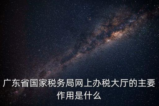 國稅網廳是什么，什么是電子稅務局