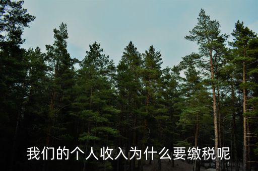 為什么要上個(gè)人所得稅，我們的個(gè)人收入為什么要繳稅呢
