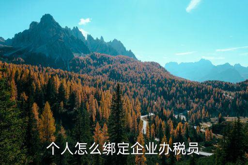 辦稅人員該綁定什么人，個人怎么綁定企業(yè)辦稅員
