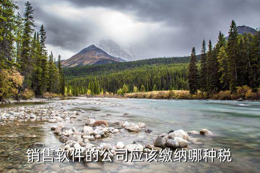 軟件營(yíng)銷(xiāo)應(yīng)該上什么稅，銷(xiāo)售軟件交什么稅
