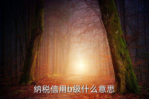 國稅信用評級是b 是什么意思，納稅信用等級評定為B級 什么意思呢有什么說法嗎