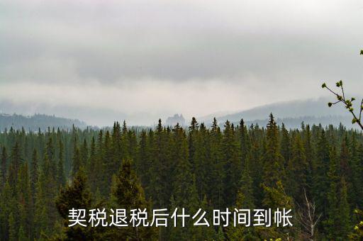 退稅款什么時(shí)候到賬，出口退稅款一般多久到賬