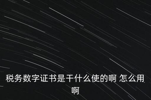 國稅ca數(shù)字證書是什么，稅務(wù)數(shù)字證書是干什么使的啊 怎么用啊