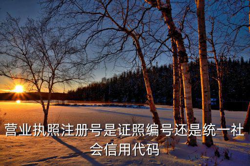 營業(yè)執(zhí)照注冊(cè)號(hào)是證照編號(hào)還是統(tǒng)一社會(huì)信用代碼