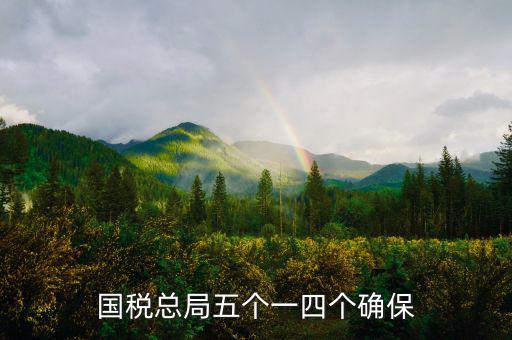 稅務(wù)局五個一是什么意思，國稅總局五個一四個確保