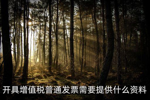 開增值稅提供什么資料，開具增值稅普通發(fā)票需要提供什么資料