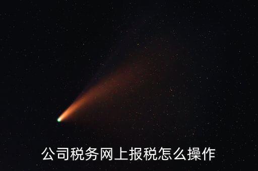 企業(yè)報稅登什么網(wǎng)站，企業(yè)稅務申報去哪個網(wǎng)站